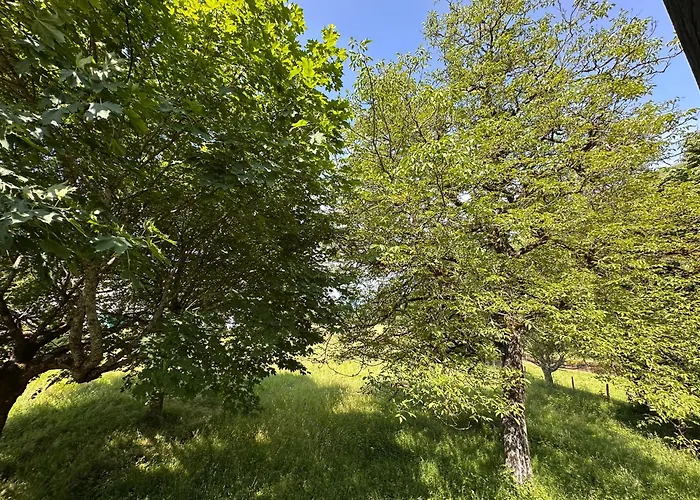 Сasa de vacaciones La Grange - 4 Personnes - Juncalas